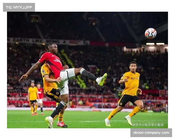 狼队10分垫底保级仅剩理论可能,落后安全区已达17分 狼队10分垫底保级仅剩理论可能,落后安全区已达17分